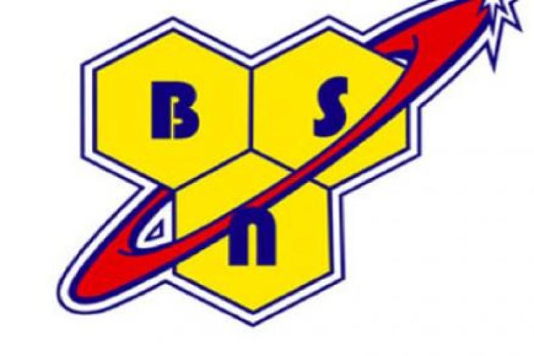 محصولات حرفه ای کمپانی بی اس ان BSN