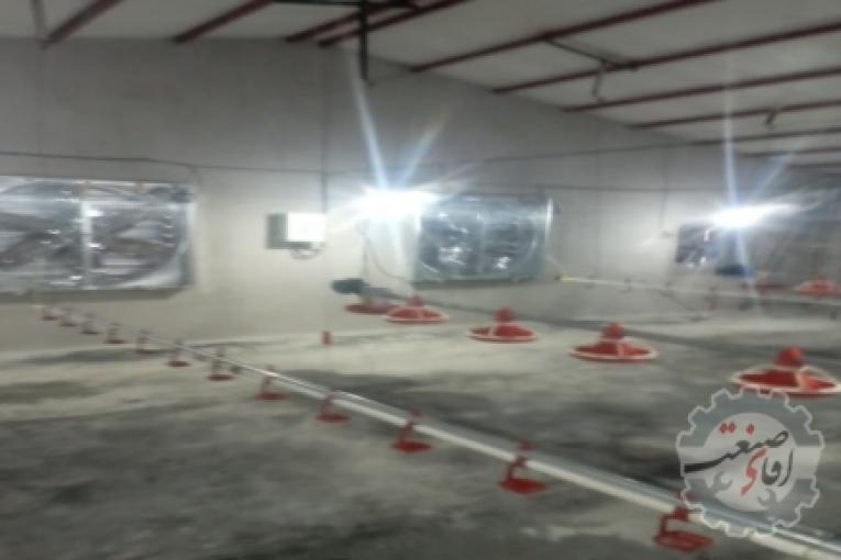 خریدو فروش تجهیزات مرغداری گوشتی و تخمی