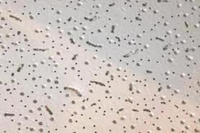 تایل آکوستیک معدنی 60*60 USG عرب و چینی